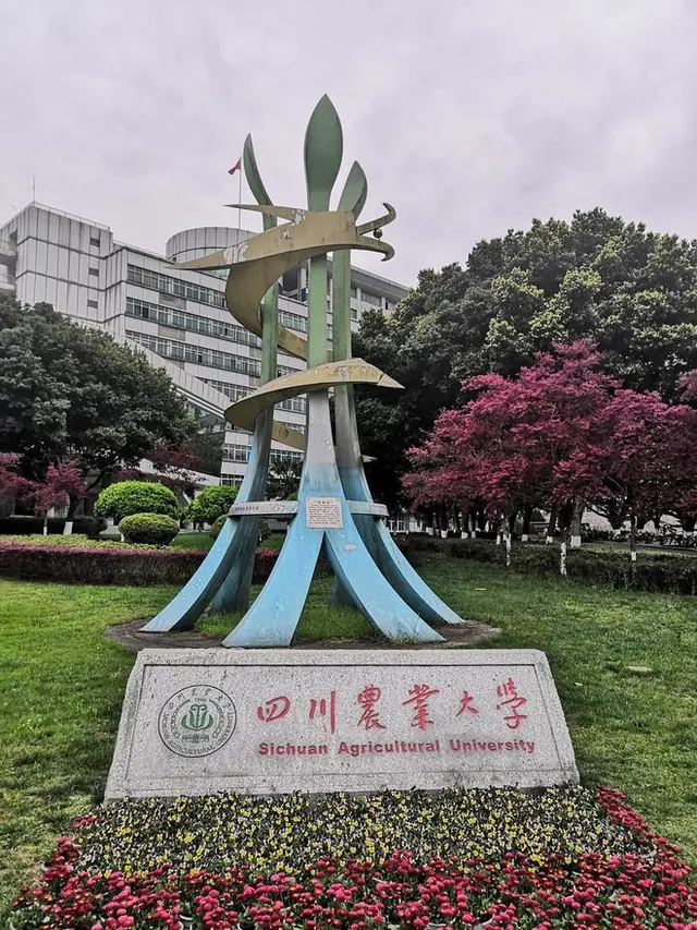 别再说农林是天坑！国考岗位三年暴增 42%，海关录用超六成是农林生，2026 农林大学四档排名出炉