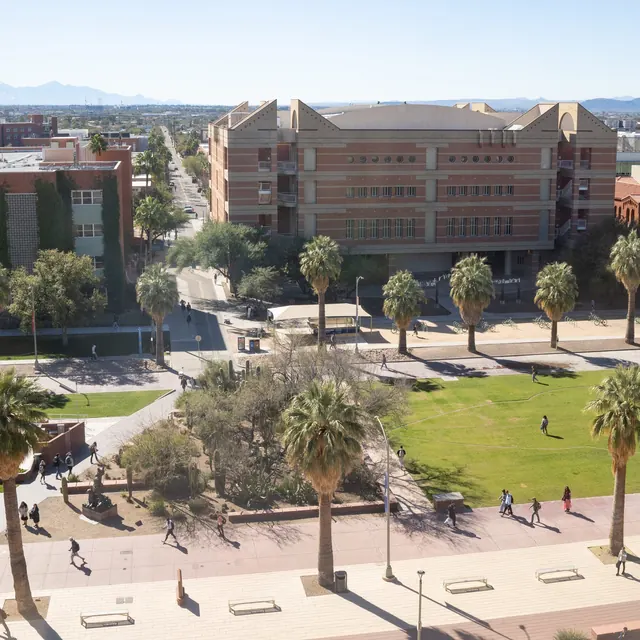 University of Arizona Suspends Fraternity Activities, Citing Misconduct Reports