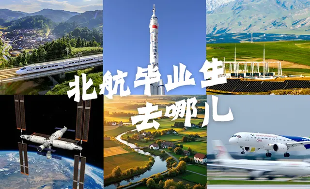 北航毕业生去哪儿