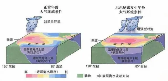 高考地理中的厄尔尼诺与拉尼娜