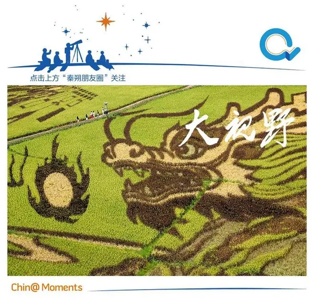 就业这件事，出路在何方？|| 大视野