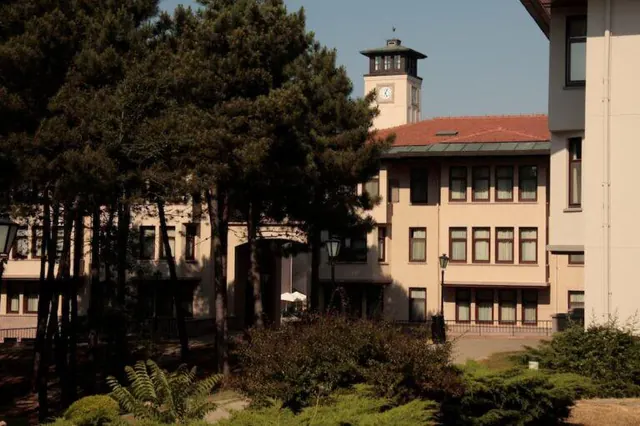 科奇大学2021年的暑期课程现已开放申请