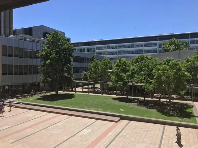 【澳洲留学】毕业后想定居澳洲？选择这些专业就对了！