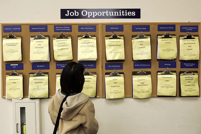 All undergraduates should get work-based learning, v-cs say