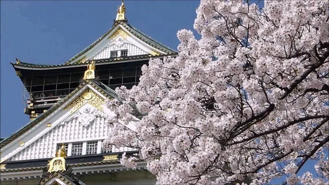 日本留学新闻篇：上千大学生因疫情辍学，日本政府决定扩大对学生支援