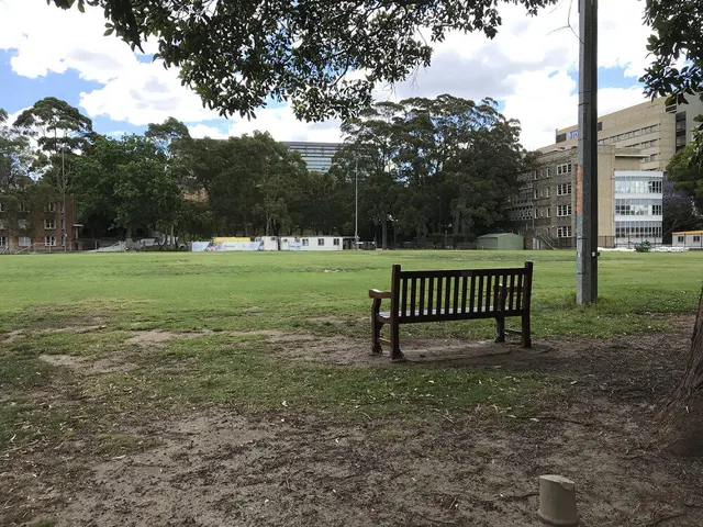 留学新西兰：新南威尔士大学绩点要求几分呢？