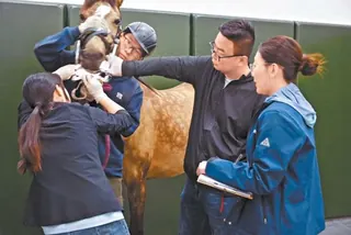 这所高校有位“神笔马良”