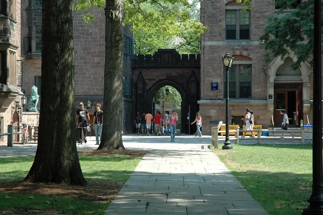 Before You Hit Submit: The Essential College Admission Document Audit