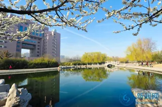 2021年山东理工大学2+2国际本科可以去新西兰留学吗？