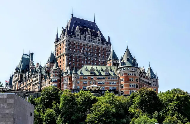 What is happening with international student numbers in Canada so far this year?