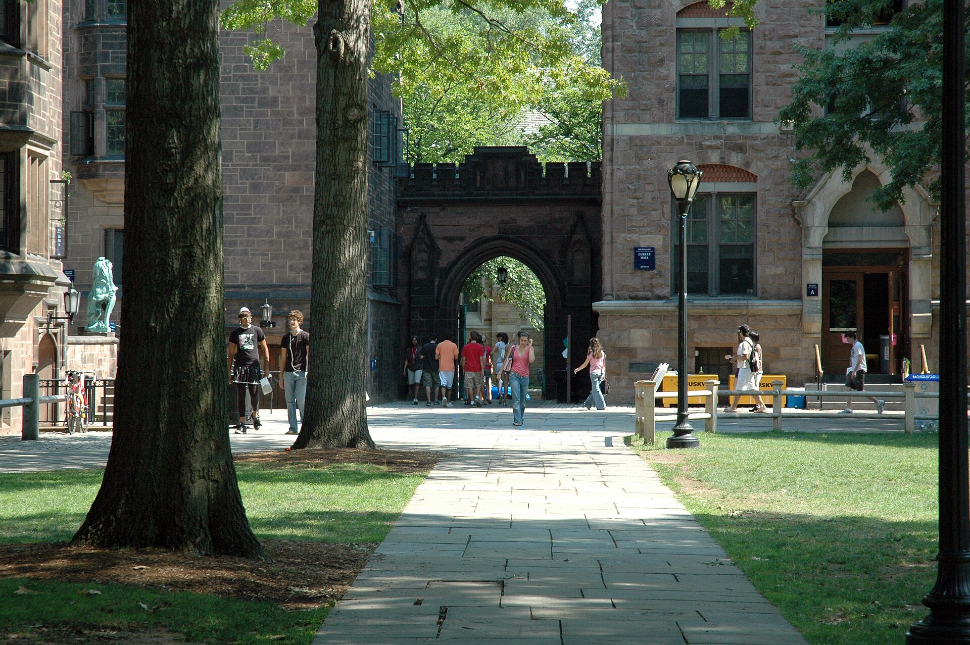 Tree-lined university campus walkway leading toward a brick academic building