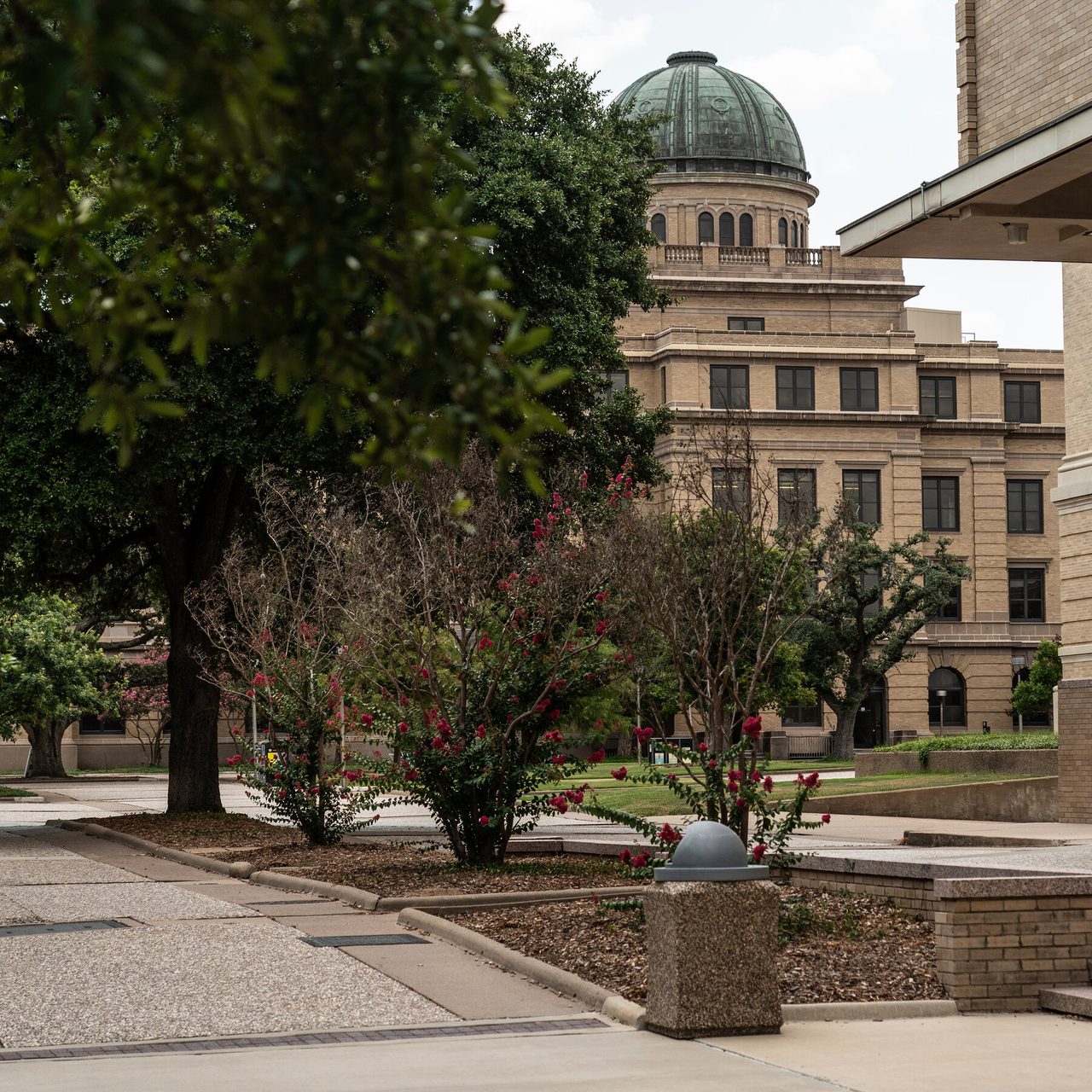 How University Core Curriculums Are Getting Political